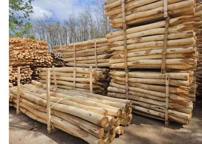 Robinienholz in Baden-Württemberg